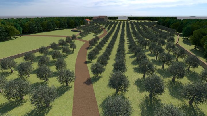Parcela za najem 12200 m² – Bale
