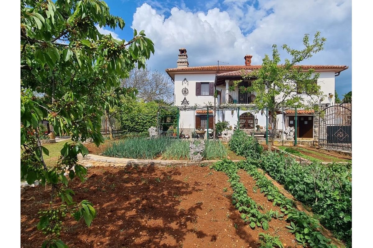 House For rent BUJE