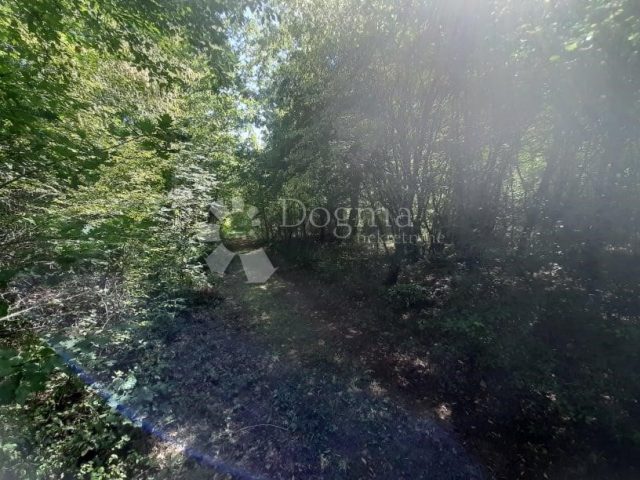 Parcela Naprodaj - Istarska Barban - foto 2/8