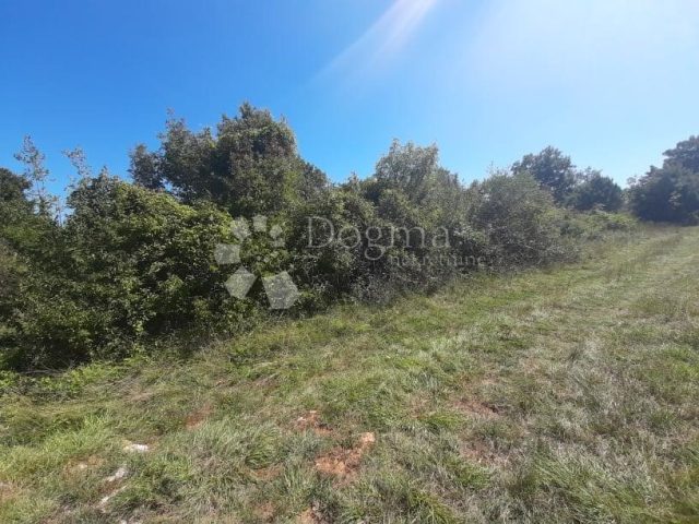 Parcela Naprodaj - Istarska Barban - foto 4/8