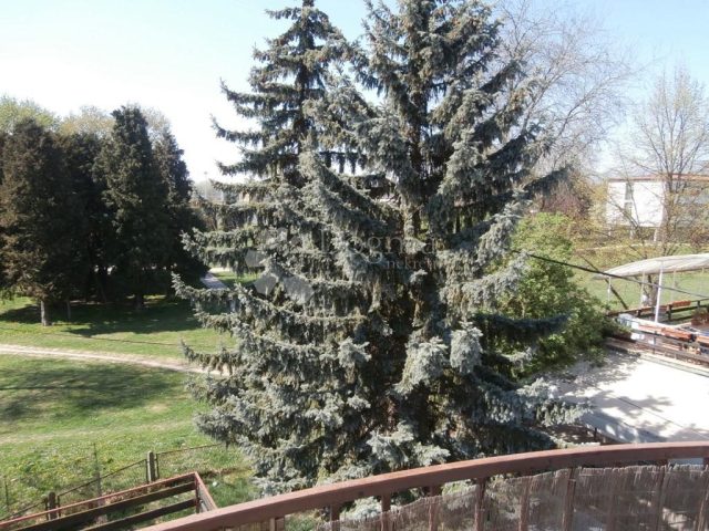 Hiša Naprodaj - Grad Zagreb Zagreb - foto 5/22