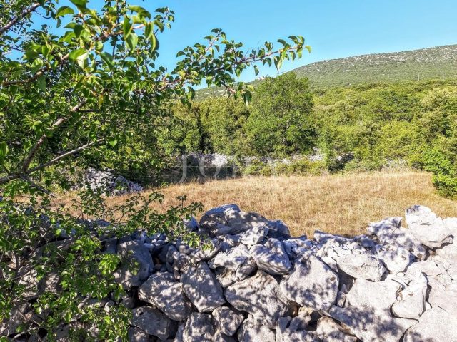Parcela Na predaj SMOKVICA KRMPOTSKA