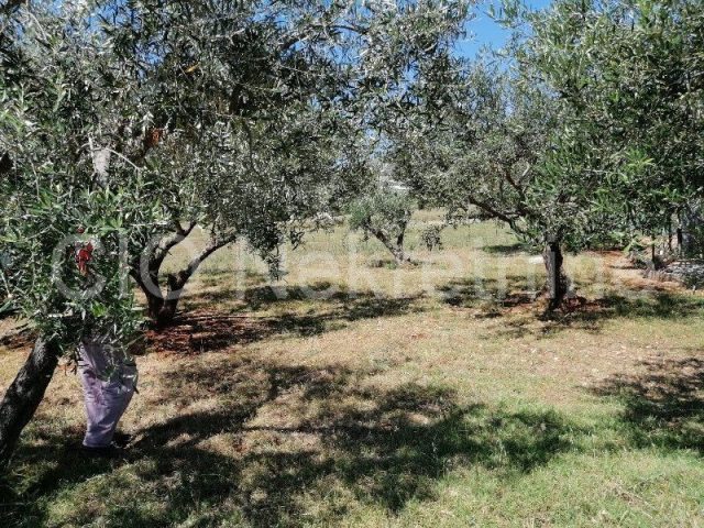 Pozemek na prodej 2245 m² – Plano