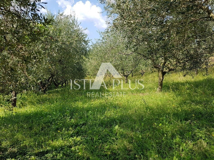 House For sale - ISTARSKA  POREČ 