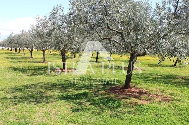 Land for sale 7628 m² – Poreč