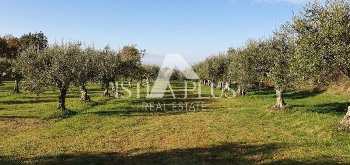 Land for sale 3000 m² – Poreč