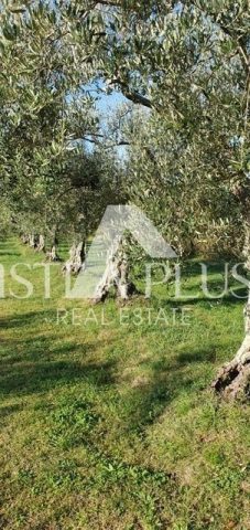 Parcela Naprodaj - Istarska Poreč - foto 3/3