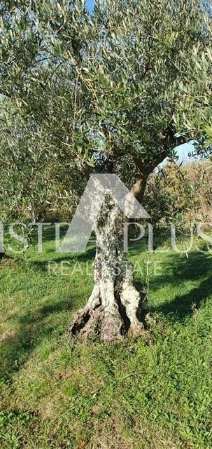 Land For sale - ISTARSKA  POREČ 