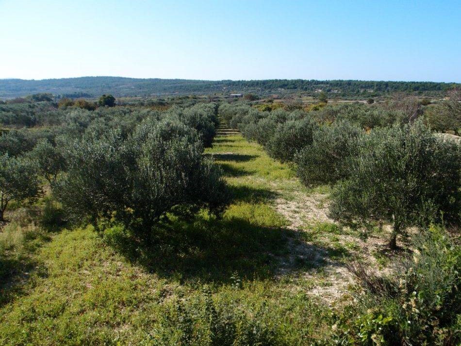 Land For sale - ŠIBENSKO-KNINSKA  ŠIBENIK 