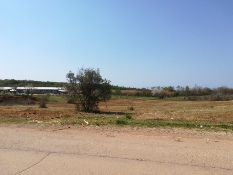 Land For sale - ISTARSKA  KAŠTELIR 