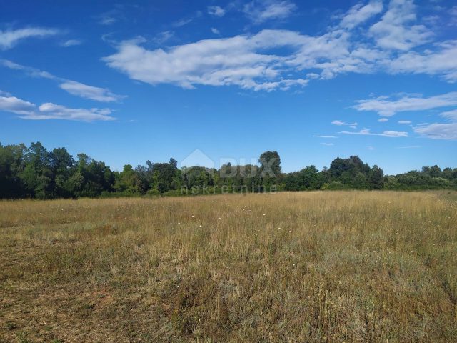 Land for sale 800 m² – Šišan
