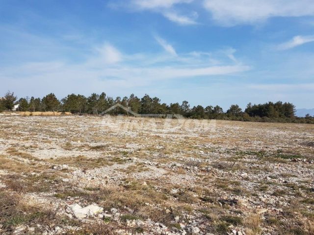 Terreno in vendita 8998 m² – Vrsi