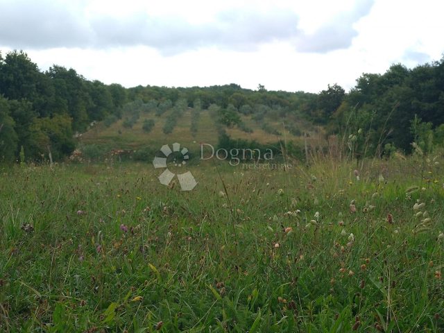 Pozemek na prodej 14832 m² – Rovinjsko Selo