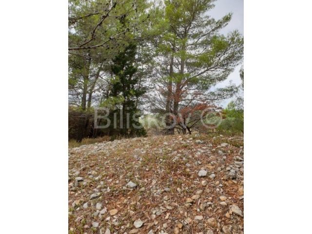 Land For sale - Splitsko-dalmatinska Brač - foto 2/3