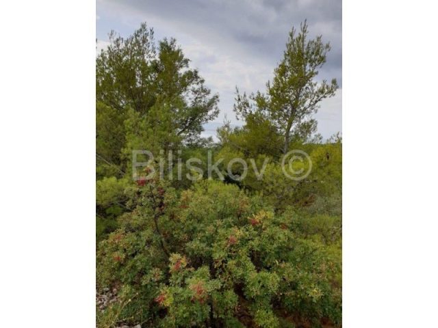 Land For sale - Splitsko-dalmatinska Brač - foto 3/3
