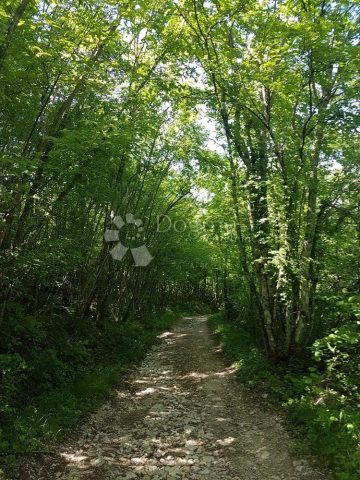 Dům Na prodej - Istarska Pićan - foto 3/7