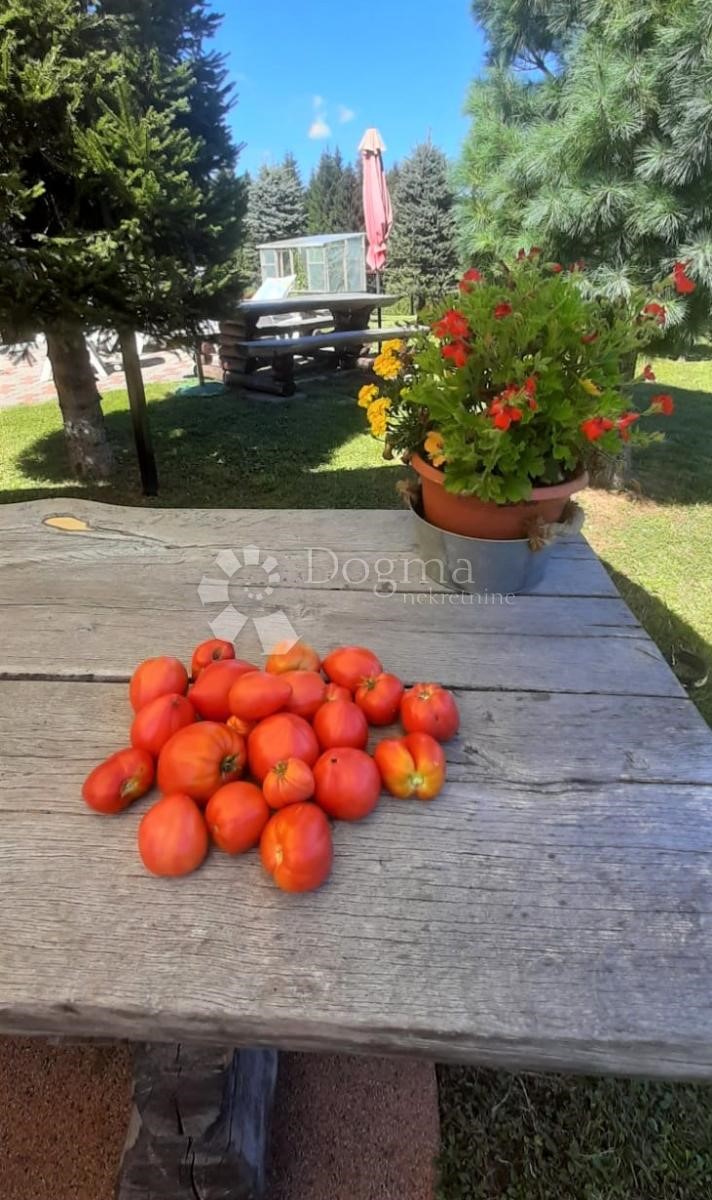 Appartamento In vendita - KARLOVAČKA  OGULIN 