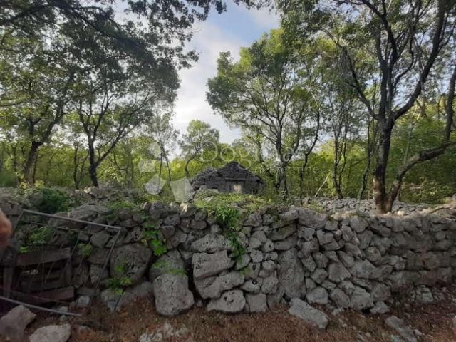 Land for sale 8000 m² – Vrbnik