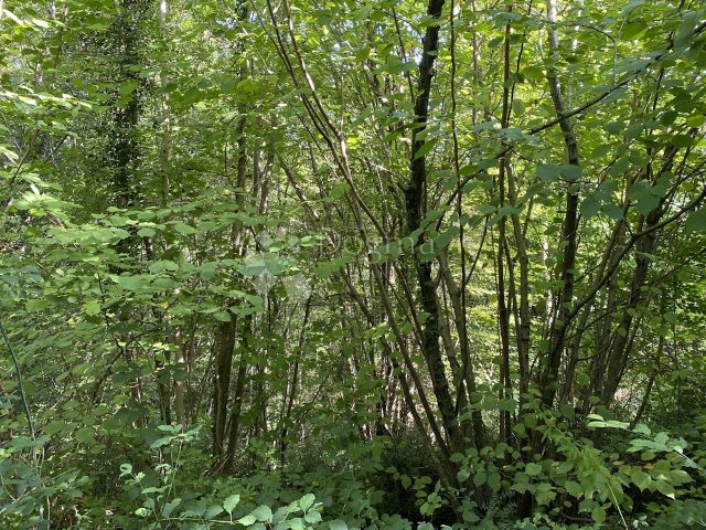 Land For sale - Primorsko-goranska Matulji - foto 2/3