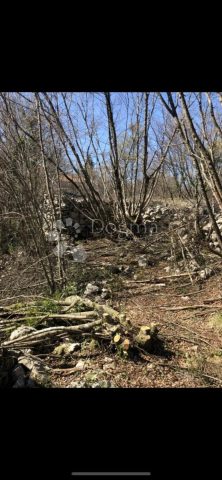 Land for sale 2976 m² – Sveti Vid Dobrinjski