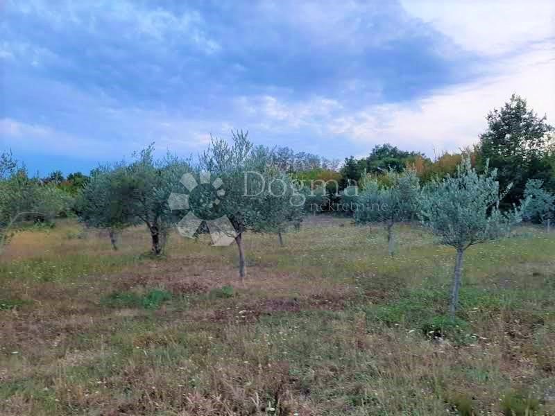 Zemljište Na prodaju - PRIMORSKO-GORANSKA  KRK 