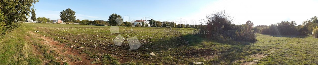 Terrain À vendre - ISTARSKA  Svetvinčenat