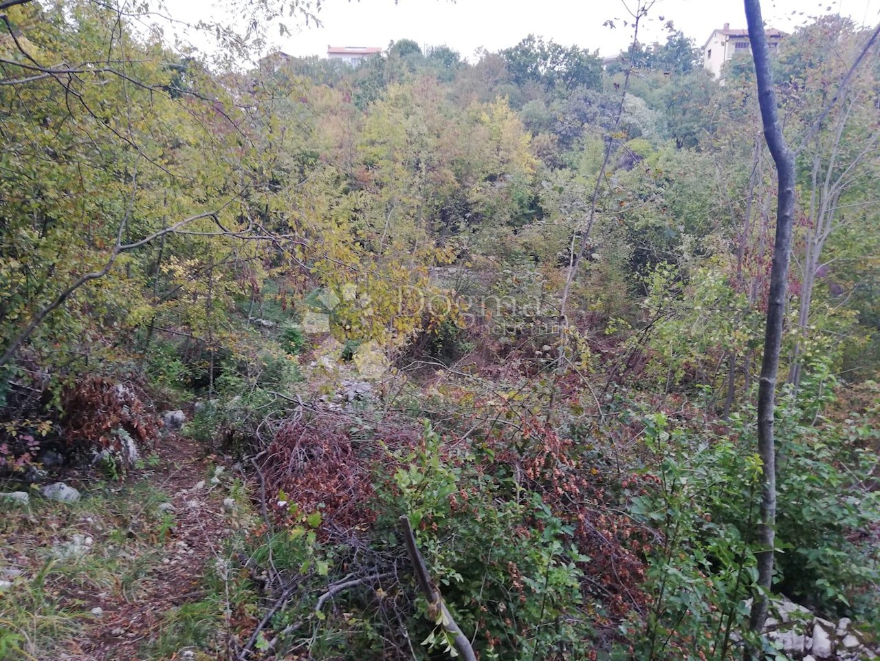 Pozemek Na prodej - PRIMORSKO-GORANSKA  KASTAV 
