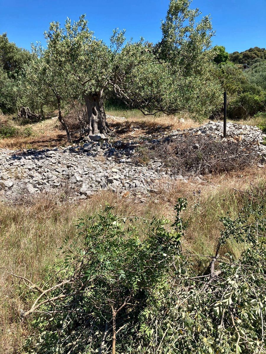 Zemljište Na prodaju - ŠIBENSKO-KNINSKA  ROGOZNICA 
