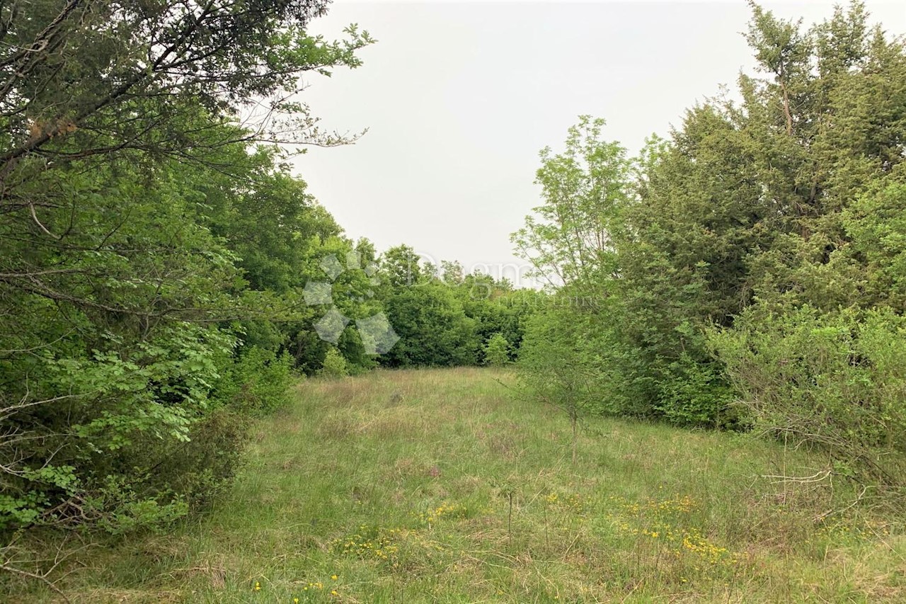 Land For sale - ISTARSKA  BALE 