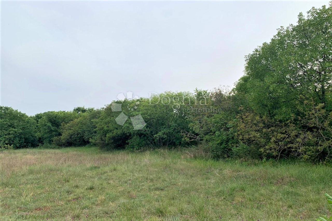 Land For sale - ISTARSKA  BALE 