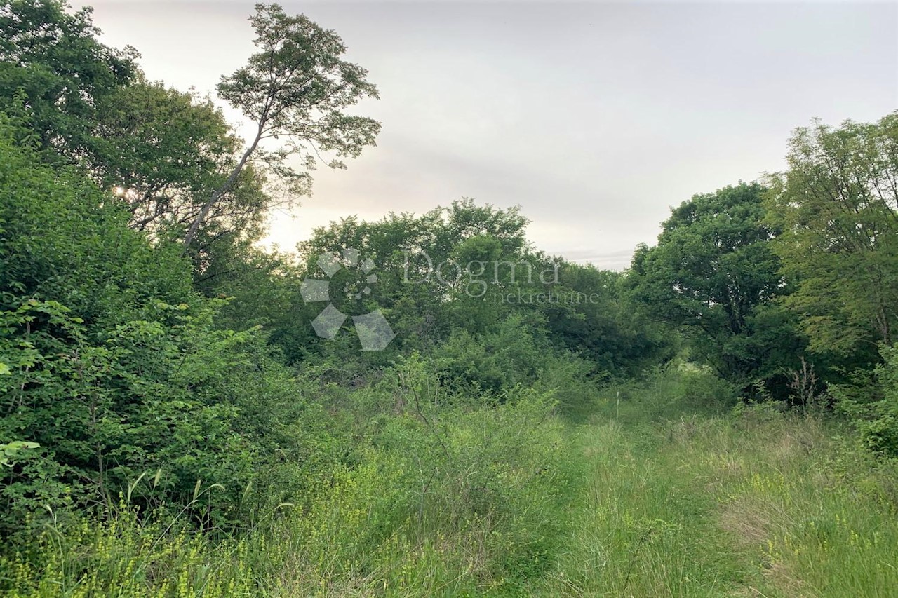 Terreno In vendita - ISTARSKA  BALE 