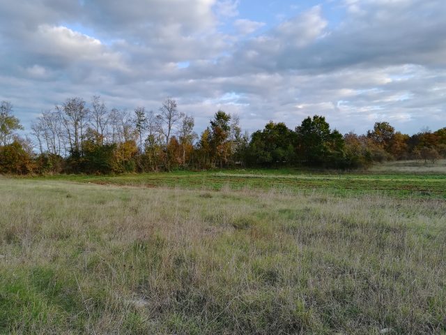 Terreno In vendita - Istarska Svetvinčenat - foto 2/5