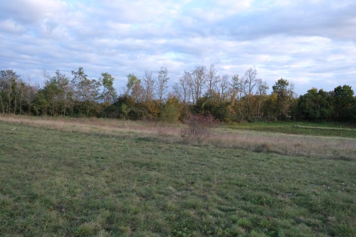 Terreno In vendita - Istarska Svetvinčenat - foto 3/5