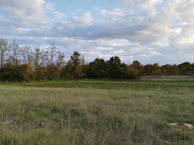 Terreno In vendita - Istarska Svetvinčenat - foto 4/5