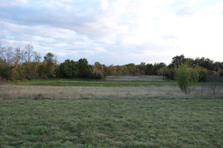 Terreno In vendita - Istarska Svetvinčenat - foto 5/5