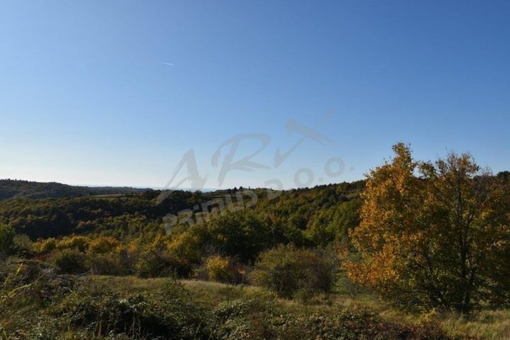 Pozemek na prodej 2500 m² – Brič