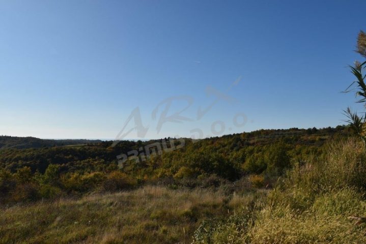 Pozemek Na prodej - Istarska Buje - foto 4/5