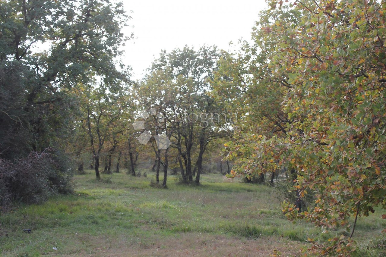 Parcela Na predaj - ISTARSKA  VODNJAN 