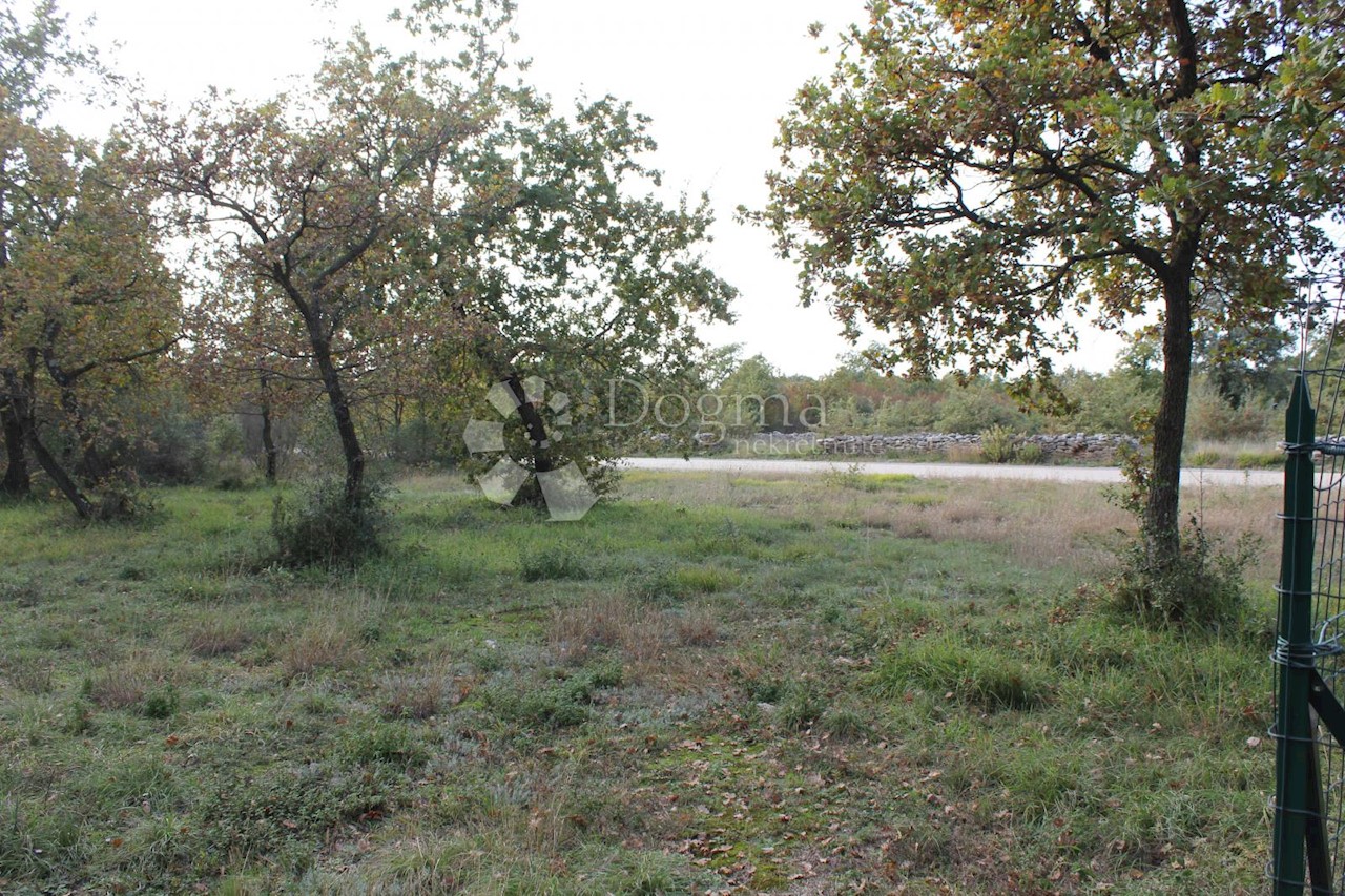Terrain À vendre - ISTARSKA  Vodnjan