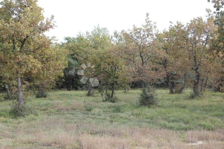 Pozemok na predaj 535 m² – Vodnjan
