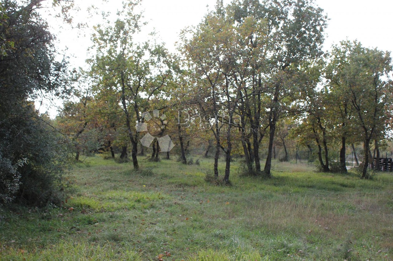 Parcela Na predaj - Istarska Vodnjan - foto 1/2