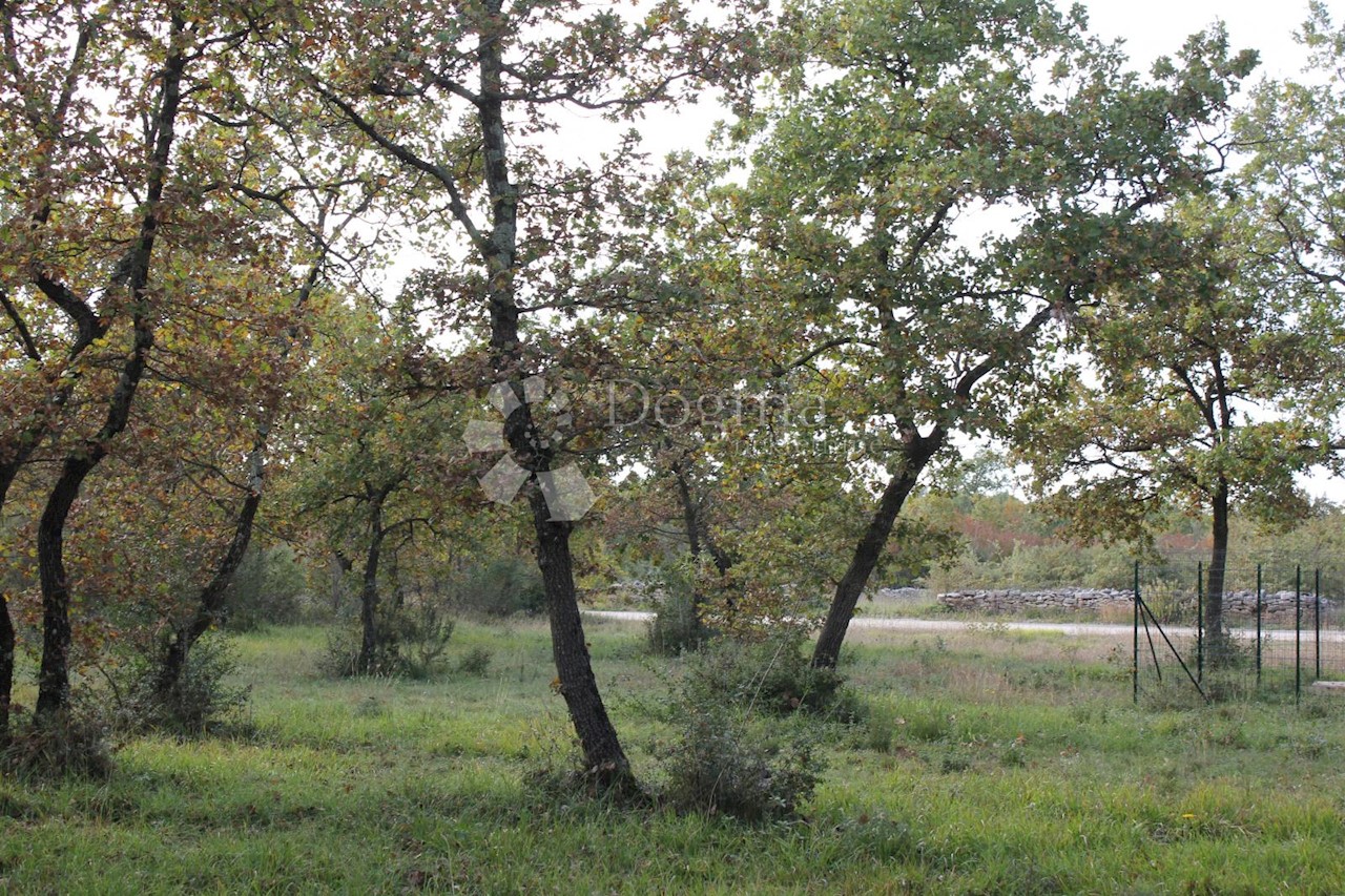 Parcela Na predaj - Istarska Vodnjan - foto 2/2