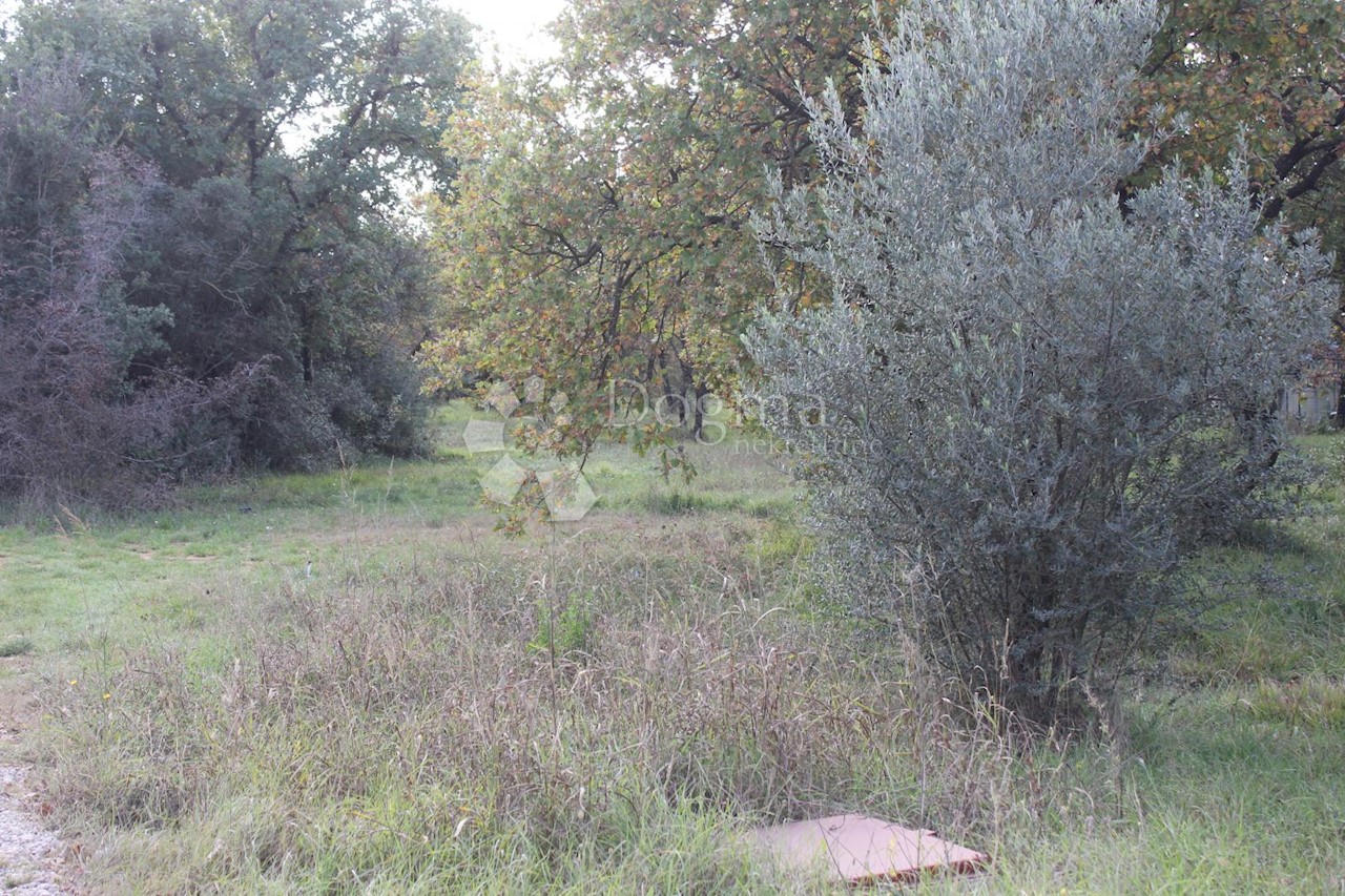 Terrain À vendre - ISTARSKA  Vodnjan