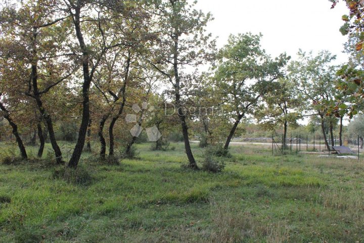 Terrain à vendre 481 m² – Vodnjan