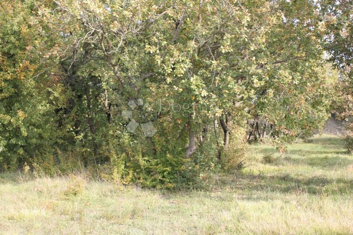 Terrain à vendre 472 m² – Vodnjan