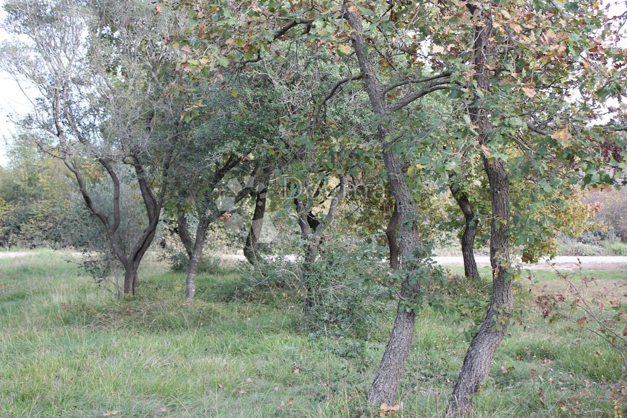 Terreno In vendita - ISTARSKA  VODNJAN 