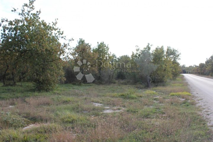 Terreno In vendita - Istarska Vodnjan - foto 4/4