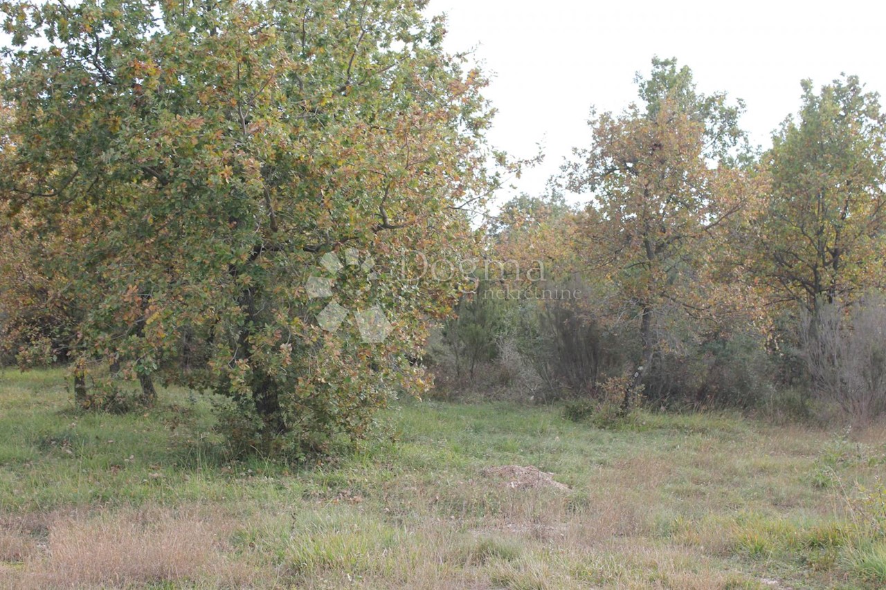 Terreno In vendita - ISTARSKA  VODNJAN 