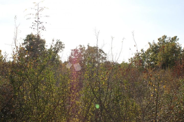 Land For sale - Istarska Vodnjan - foto 3/3
