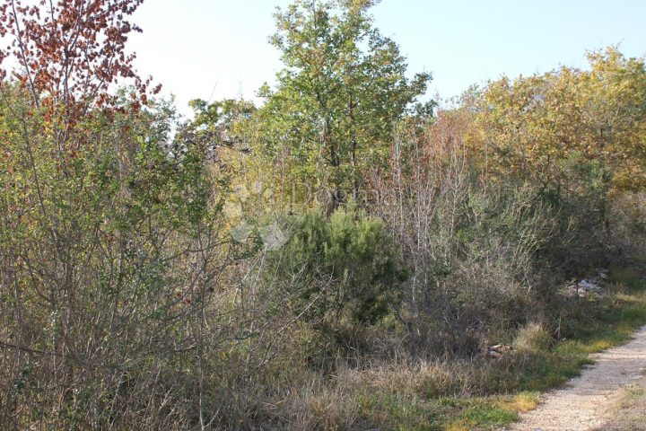Terrain À vendre - Istarska Vodnjan - foto 4/4
